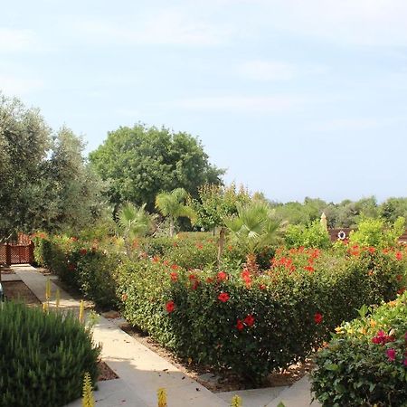 Kavalla Forest Villas Paphos Exterior foto