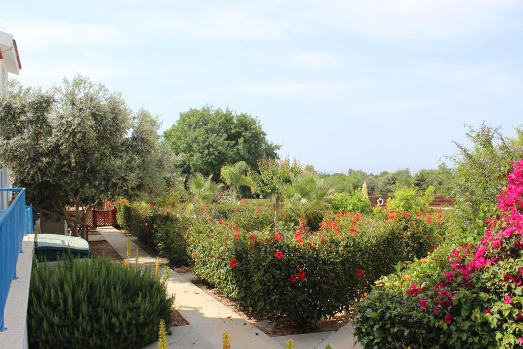 Kavalla Forest Villas Paphos Exterior foto